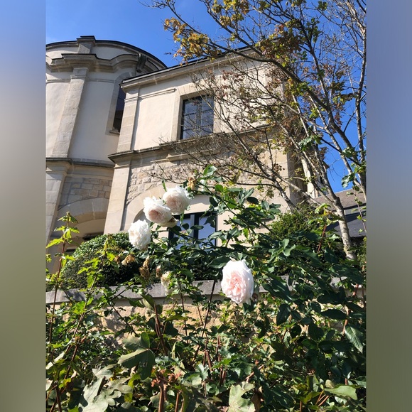 Meet your Posher, HannaHelga - Picture 1 of 1